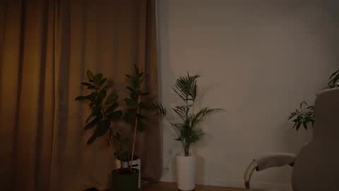 Very miss youWill be back soon Tammy online show from February 4, 1:25 pm