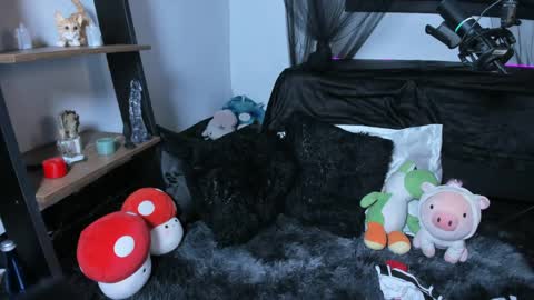 lucyjade2 online show from May 16, 12:24 am