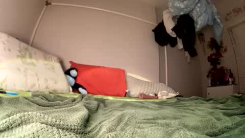 LOLA online show from February 19, 7:52 am