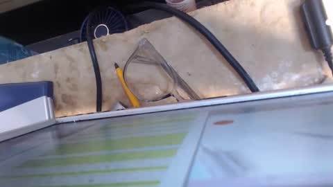 aurora online show from February 27, 12:21 am