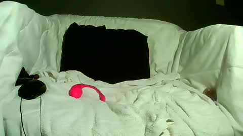 Bee Bee online show from April 24, 12:30 pm