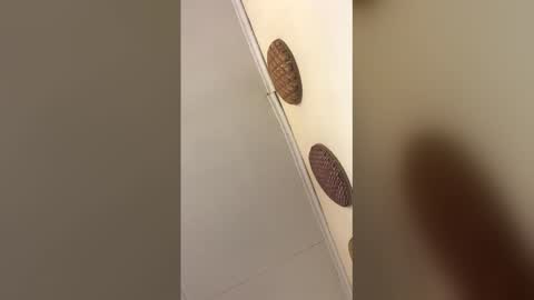 luxvietes online show from January 17, 11:50 am