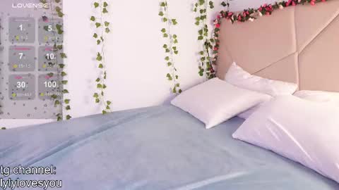 Lyly   online show from November 28, 6:27 am