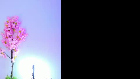 Snapshot of maily_zans chatting on September 28, 8:03 pm Maily online show from September 28, 8:03 pm