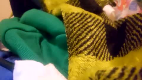 mama_1020 online show from December 29, 7:28 am