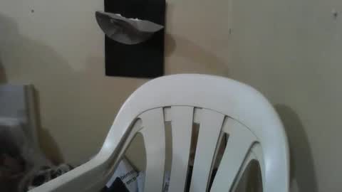 Mareu online show from April 26, 11:13 pm