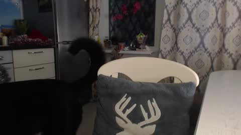 MarianaMur online show from November 30, 8:07 am