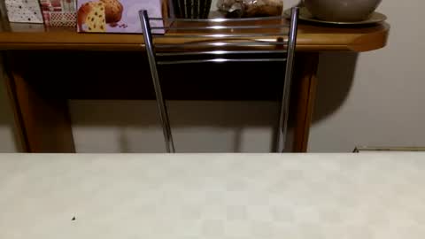 Mary... online show from January 7, 10:24 pm