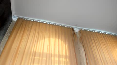 Marrie online show from March 8, 7:35 am