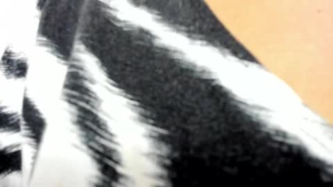 Marylin online show from March 1, 7:48 pm