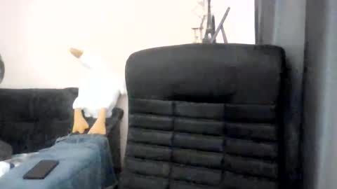 Oltereodora-lima online show from October 29, 11:47 am