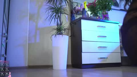 Next show on 03 Dec online show from December 19, 11:46 am