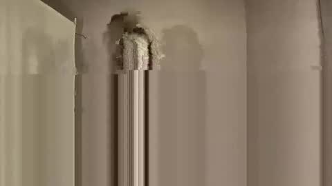 Charlotte online show from January 17, 1:47 am