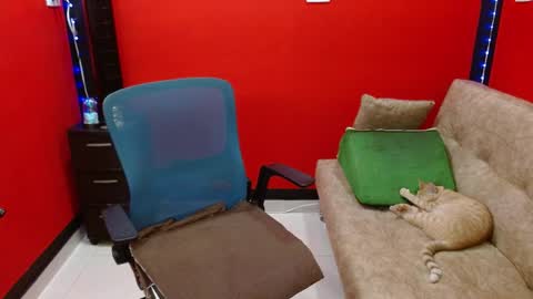 mafe maria fernanda online show from April 8, 12:18 pm