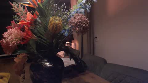 Miss conly online show from January 16, 6:48 pm