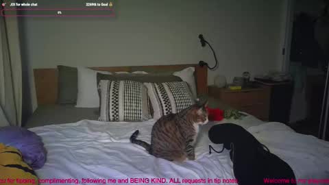 missemmbeex online show from March 2, 8:59 pm