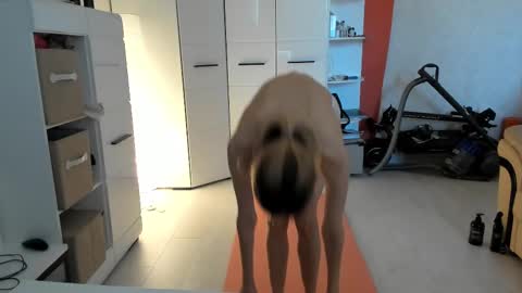 AngelMomm online show from February 22, 6:28 am