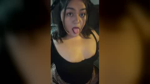 msgorg online show from April 24, 7:44 am