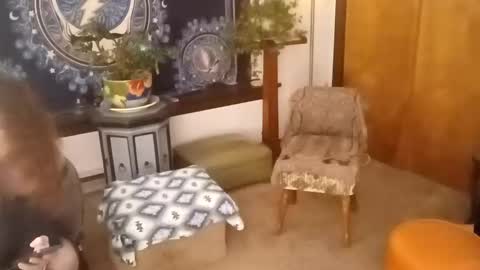 Gypsy online show from November 16, 11:10 am