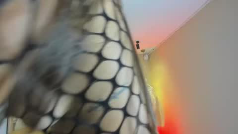 Nahimi online show from April 18, 7:07 pm