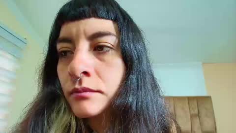 Kitten online show from December 2, 11:45 am