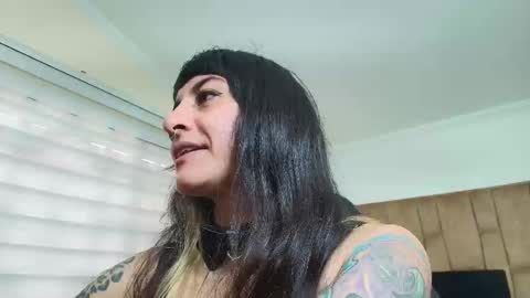 Kitten online show from March 12, 12:30 pm