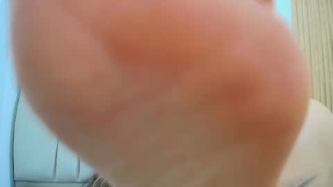 Kitten online show from April 25, 1:41 pm