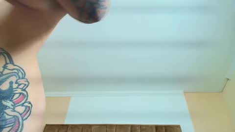 Kitten online show from September 26, 12:25 pm