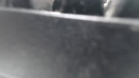 Maria online show from April 23, 12:29 pm