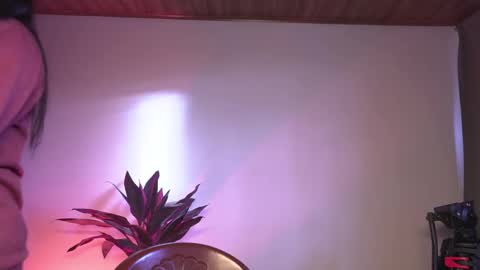 Nefertari online show from February 27, 11:43 am