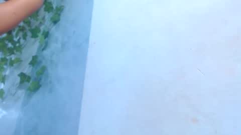 negrita online show from February 2, 1:48 am