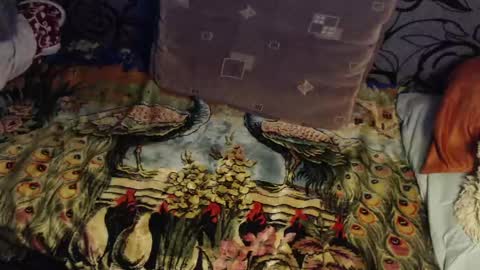 Lilly  online show from April 22, 3:03 am