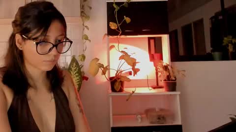 day  online show from October 26, 1:12 am