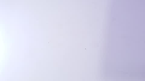 Nicol online show from March 5, 3:02 am