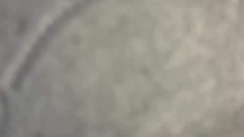 Nicoll  Independent model online show from April 15, 8:37 am