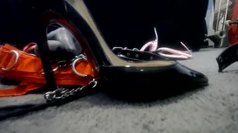 Niquita Sparkles online show from January 22, 6:20 am