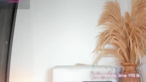 Noami Rose  online show from November 29, 2:37 am