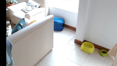 Snapshot of novaperotti chatting on September 26, 8:39 pm novaperotti online show from September 26, 8:39 pm