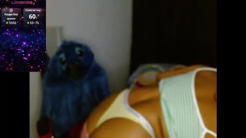 novaperotti online show from March 20, 5:56 am