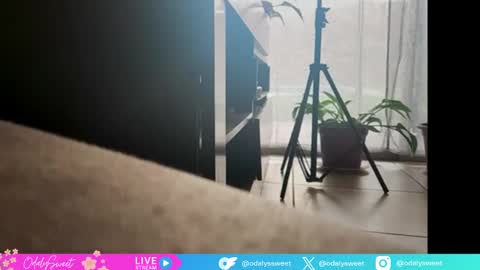 Odalys online show from April 19, 9:06 pm