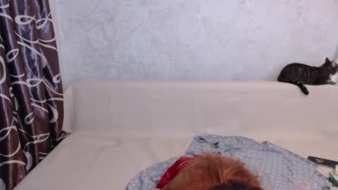 Snapshot of olivia_redd chatting on September 14, 1:47 am Olivia online show from September 14, 1:47 am