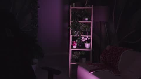 Liv online show from February 13, 2:13 am