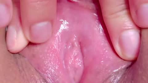 orchidekitty online show from June 14, 2:24 am
