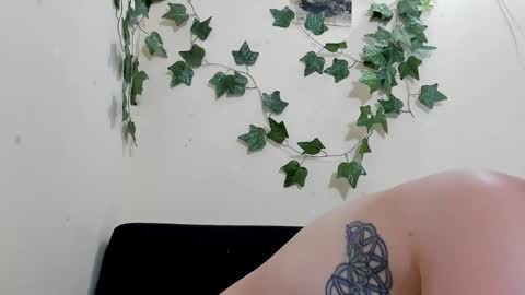 Paulinches online show from February 11, 5:03 pm