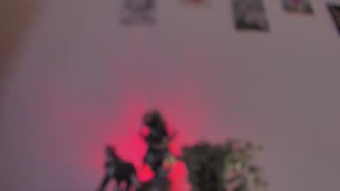 Dani online show from August 2, 2:42 pm