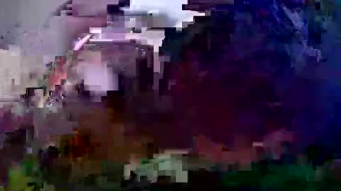 Coco channel  online show from December 21, 10:06 am