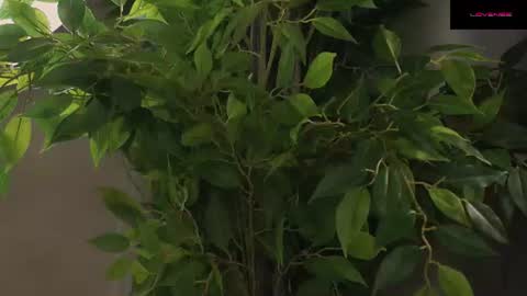 Beautiful Mila online show from June 25, 3:28 am