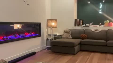 Effyyyyy online show from April 1, 4:46 am