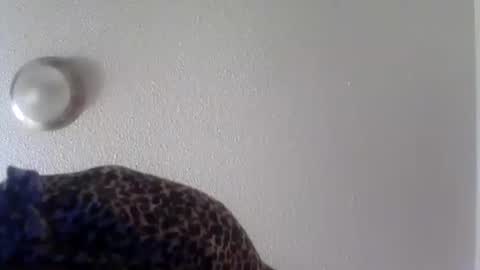 pebblessmith453 online show from November 19, 10:48 am