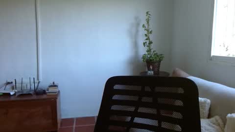 Megan online show from April 28, 1:37 pm